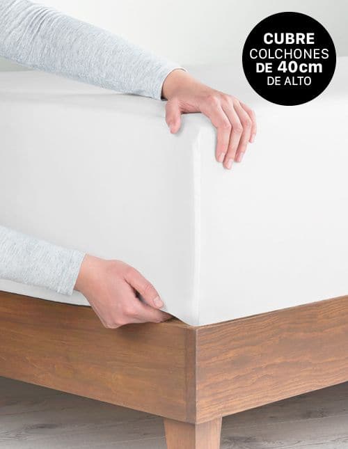 SABANA MICROBIFRA - Imagen 6