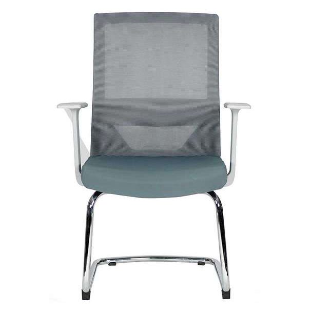 Vision Gray Visita